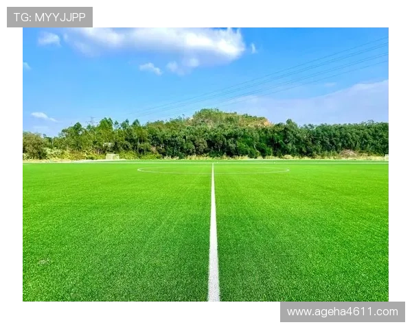 新2体育:积极践行绿色体育理念,为青少年提供环保、安全的运动环境和培训方案 新2体育:积极践行绿色体育理念,为青少年提供环保、安全的运动环境和培训方案