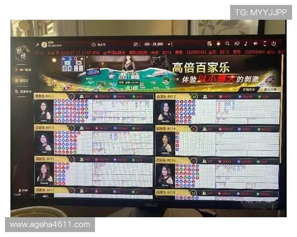 百家乐路单电脑版最新版本功能介绍及操作技巧全面提升你的游戏体验